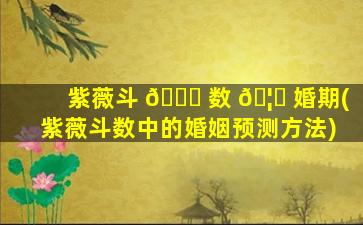 紫薇斗 🐋 数 🦆 婚期(紫薇斗数中的婚姻预测方法)